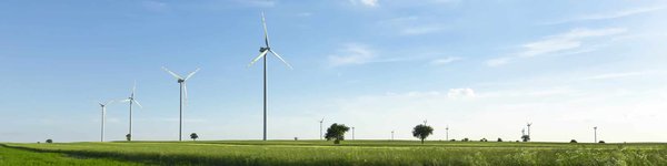 Parfums de luxe sans la facture : Les meilleures alternatives abordables pour les femmes