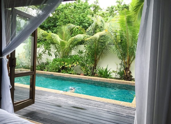 Quels campings à Fouesnant proposent des animations en été ?